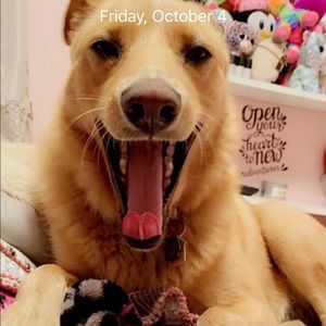 Meet your Posher, Michelle